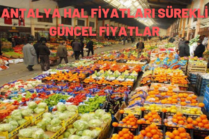 Antalya Hal Fiyatları